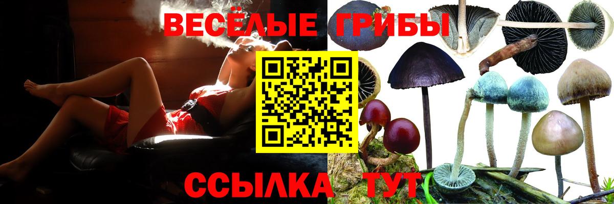 Мариинск  Галлюциногенные грибы мухоморы  Галлюциногенные грибы Cubensis  Вход с VPN 